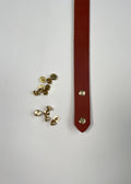 Brown leather strap with brass chicago screws on a white background